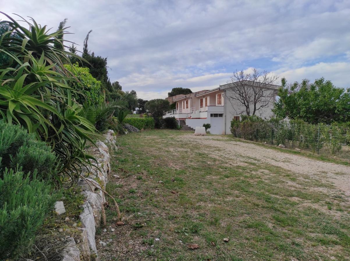 Bellavista Apartments Scopello  Exterior photo
